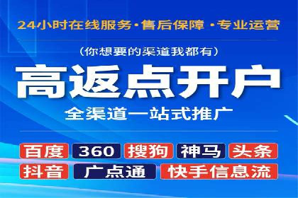 百度推广优化策略：成功案例解析